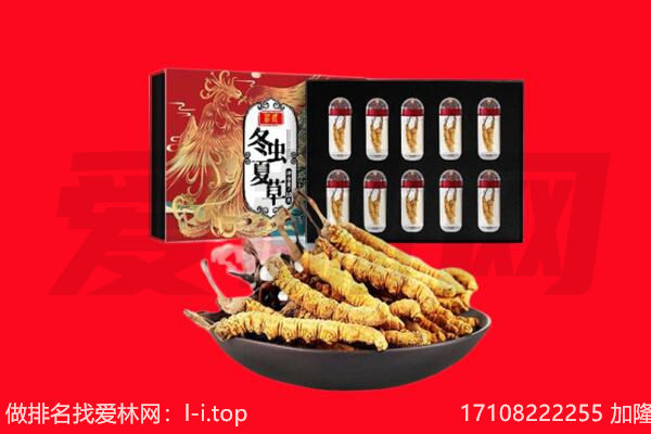 广州花都区回收虫草.jpg